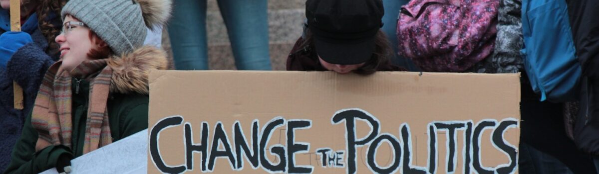 The Role of Democracy in Loznica’s Development